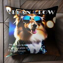 サングラス シェットランドシープドッグ ジャケット パーティー クッションカバー 45×45cm アニマル柄 おしゃれ 可愛い クッション本体付き 正方形 犬ファン
