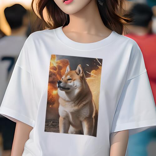 柴犬 Tシャツ レディース 犬ファン 半袖 春夏 犬柄 プリント カジュアル かわいい 人間用 個性派 ここだけのデザイン 面白 爆発 柴犬 炎