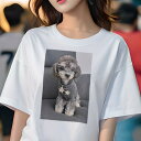 トイプードル Tシャツ レディース 犬ファン 半袖 春夏 犬柄 プリント カジュアル かわいい 人間用 個性派 ここだけのデザイン 面白 セーター トイプードル 星(4)