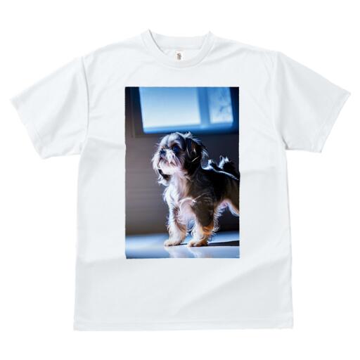 シーズー Tシャツ レディース 犬ファン 半袖 春夏 犬柄 プリント カジュアル かわいい 人間用 個性派 ここだけのデザイン 面白 シーズー