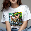 コーギー Tシャツ レディース 犬ファン 半袖 春夏 犬柄 プリント カジュアル かわいい 人間用 個性派 ここだけのデザイン 面白 雨 コーギー 水たまり レ...