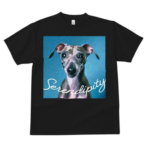 イタリアングレーハウンド Tシャツ レディース 犬ファン 半袖 春夏 犬柄 プリント カジュアル かわいい 人間用 個性派 ここだけのデザイン 面白 イタリアングレーハウンド