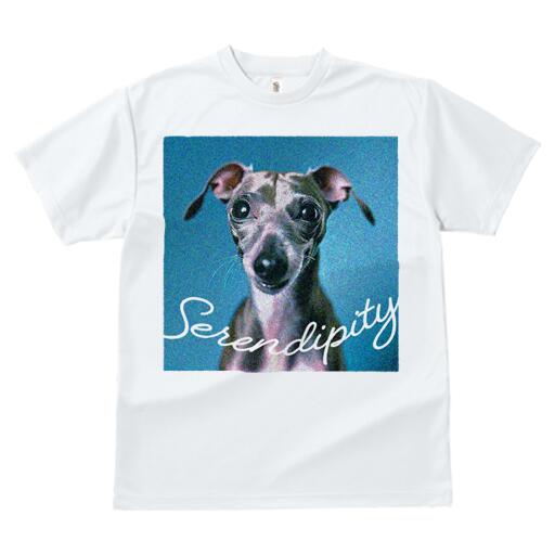 イタリアングレーハウンド Tシャツ レディース 犬ファン 半袖 春夏 犬柄 プリント カジュアル かわいい 人間用 個性派 ここだけのデザイン 面白 イタリアングレーハウンド