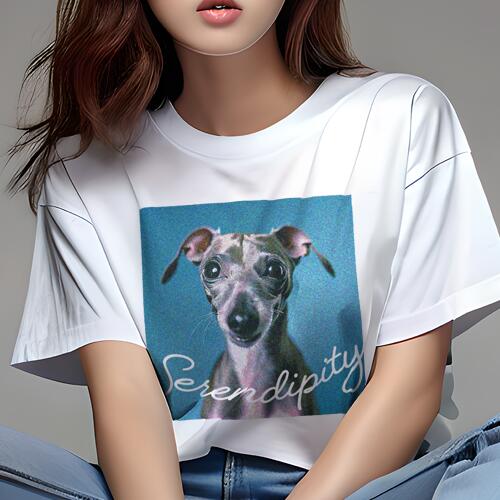 イタリアングレーハウンド Tシャツ レディース 犬ファン 半袖 春夏 犬柄 プリント カジュアル かわいい 人間用 個性派 ここだけのデザイン 面白 イタリアングレーハウンド