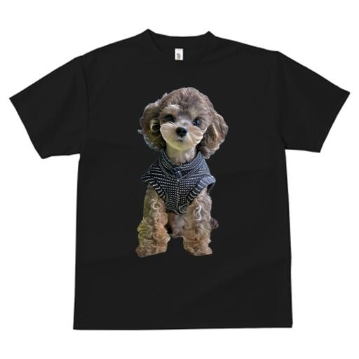 トイプードル Tシャツ メンズ キッズ 犬ファン 半袖 春夏 犬柄 プリント カジュアル かわいい 人間用 ..