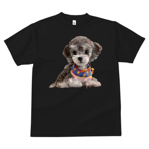 トイプードル Tシャツ メンズ キッズ 犬ファン 半袖 春夏 犬柄 プリント カジュアル かわいい 人間用 ..