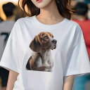 ビーグル Tシャツ レディース 犬ファン 半袖 春夏 犬柄 プリント カジュアル かわいい 人間用 個性派 ここだけのデザイン 面白 ペット ビーグル かわいい 動物好き 犬好き