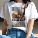 柴犬 Tシャツ レディース 犬ファン 半袖 春夏 犬柄 プリント カジュアル かわいい 人間用 個性派 ここだけのデザイン 面白 キャンドル 柴犬 毛布