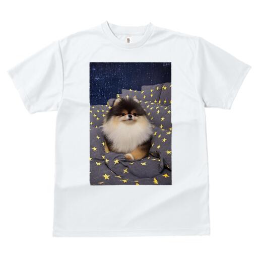 ポメラニアン Tシャツ レディース 犬ファン 半袖 春夏 犬柄 プリント カジュアル かわいい 人間用 個性派 ここだけのデザイン 面白 星柄 ポメラニアン クッション 夜空