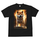 柴犬 Tシャツ メンズ キッズ 犬ファン 半袖 春夏 犬柄 プリント カジュアル かわいい 人間用 個性派 ここだけのデザイン 面白 光 柴犬 輝き 爆発(4)