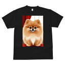 ポメラニアン Tシャツ メンズ キッズ 犬ファン 半袖 春夏 犬柄 プリント カジュアル かわいい 人間用 個性派 ここだけのデザイン 面白 ポメラニアン キュート 犬 ペット(4)