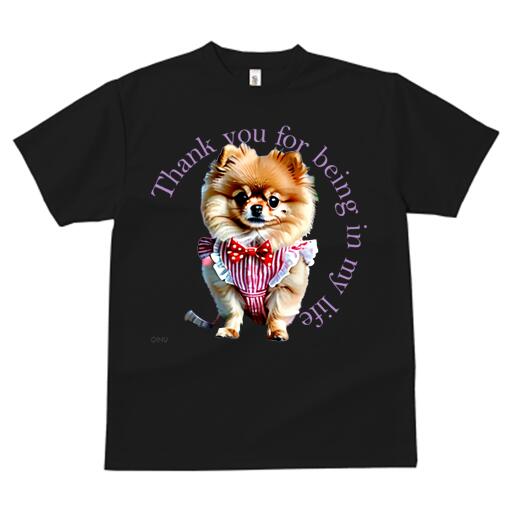 ポメラニアン Tシャツ レディース 犬ファン 半袖 春夏 犬柄 プリント カジュアル かわいい 人間用 個性派 ここだけのデザイン 面白 リボン ポメラニアン 服