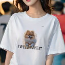 ポメラニアン Tシャツ レディース 犬ファン 半袖 春夏 犬柄 プリント カジュアル かわいい 人間用 個性派 ここだけのデザイン 面白 ポメラニアン