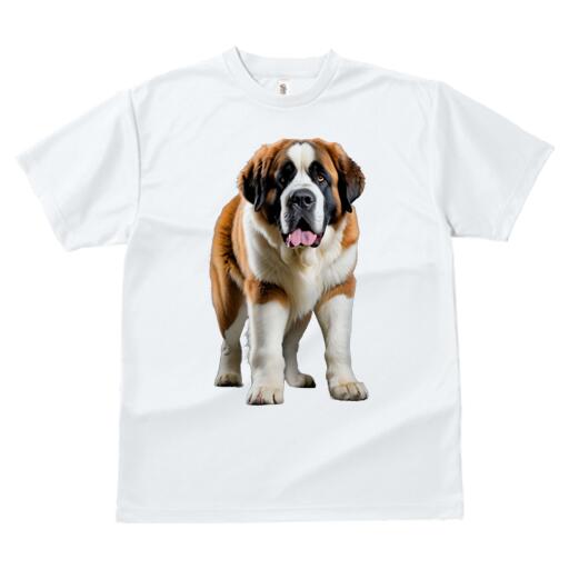 セントバーナード Tシャツ レディース 犬ファン 半袖 春夏 犬柄 プリント カジュアル かわいい 人間用 個性派 ここだけのデザイン 面白 セントバーナード
