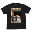 シーズー Tシャツ メンズ キッズ 犬ファン 半袖 春夏 犬柄 プリント カジュアル かわいい 人間用 個性派 ここだけのデザイン 面白 暖炉 シーズー キャンドル