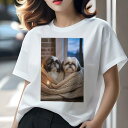 シーズー Tシャツ レディース 犬ファン 半袖 春夏 犬柄 プリント カジュアル かわいい 人間用 個性派 ここだけのデザイン 面白 毛布 シーズー キャンドル 窓