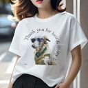 ボルゾイ Tシャツ レディース 犬ファン 半袖 春夏 犬柄 プリント カジュアル かわいい 人間用 個性派 ここだけのデザイン 面白 サングラス ボルゾイ コー...