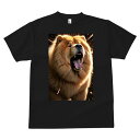 チャウチャウ Tシャツ メンズ キッズ 犬ファン 半袖 春夏 犬柄 プリント カジュアル かわいい 人間用 個性派 ここだけのデザイン 面白 チャウチャウ