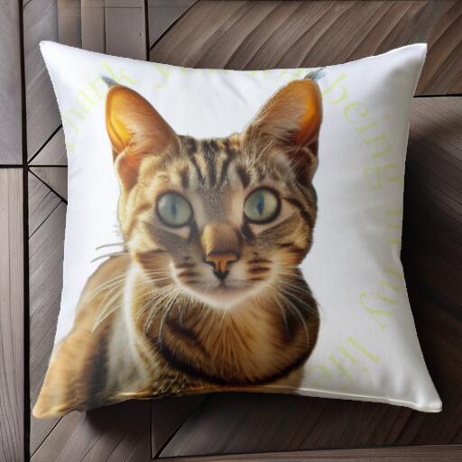 猫 クッションカバー 45×45cm アニマ