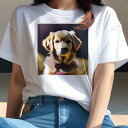 ゴールデンレトリバー Tシャツ レディース 犬ファン 半袖 春夏 犬柄 プリント カジュアル かわいい 人間用 個性派 ここだけのデザイン 面白 首輪 ゴールデ...
