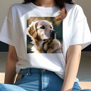 ゴールデンレトリバー Tシャツ レディース 犬ファン 半袖 春夏 犬柄 プリント カジュアル かわいい 人間用 個性派 ここだけのデザイン 面白 ゴールデンレト...