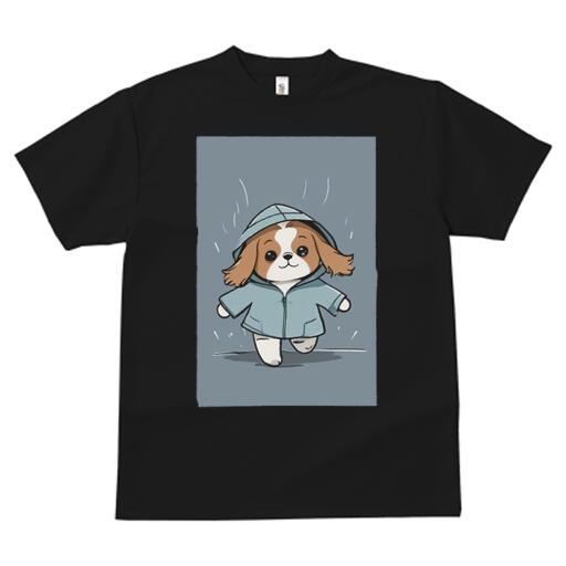 Хꥢ T  å ե Ⱦµ ղ  ץ 奢 襤 ʹ  Υǥ   Хꥢ 쥤...