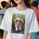 キャバリア Tシャツ レディース 犬ファン 半袖 春夏 犬柄 プリント カジュアル かわいい 人間用 個性派 ここだけのデザイン 面白 土 キャバリア 庭 植物