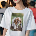 キャバリア Tシャツ レディース 犬ファン 半袖 春夏 犬柄 プリント カジュアル かわいい 人間用 個性派 ここだけのデザイン 面白 土 キャバリア 庭 シャベル