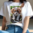 キャバリア Tシャツ レディース 犬ファン 半袖 春夏 犬柄 プリント カジュアル かわいい 人間用 個性派 ここだけのデザイン 面白 ガーデニング キャバリア...