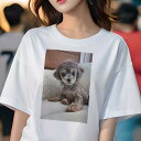 トイプードル Tシャツ レディース 犬ファン 半袖 春夏 犬柄 プリント カジュアル かわいい 人間用 個性派 ここだけのデザイン 面白 ぬいぐるみ トイプードル クッション