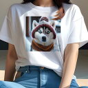 シベリアンハスキー Tシャツ レディース 犬ファン 半袖 春夏 犬柄 プリント カジュアル かわいい 人間用 個性派 ここだけのデザイン 面白 帽子 シベリアンハスキー スカーフ 冬 雪
