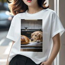 ゴールデンレトリバー Tシャツ レディース 犬ファン 半袖 春夏 犬柄 プリント カジュアル かわいい 人間用 個性派 ここだけのデザイン 面白 パン ゴールデ...