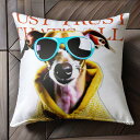 サングラス イタリアングレーハウンド パーカー クッションカバー 45×45cm アニマル柄 おしゃれ 可愛い クッション本体付き 正方形 犬ファン