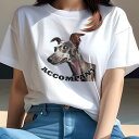 イタリアングレーハウンド Tシャツ レディース 犬ファン 半袖 春夏 犬柄 プリント カジュアル かわいい 人間用 個性派 ここだけのデザイン 面白 イタリアン...
