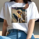 ゴールデンレトリバー Tシャツ レディース 犬ファン 半袖 春夏 犬柄 プリント カジュアル かわいい 人間用 個性派 ここだけのデザイン 面白 ゴールデンレト...