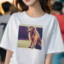 ゴールデンレトリバー Tシャツ レディース 犬ファン 半袖 春夏 犬柄 プリント カジュアル かわいい 人間用 個性派 ここだけのデザイン 面白 背景 ゴールデ...