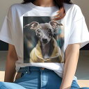 イタリアングレーハウンド Tシャツ レディース 犬ファン 半袖 春夏 犬柄 プリント カジュアル かわいい 人間用 個性派 ここだけのデザイン 面白 ジャケット...