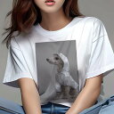 マルチーズ Tシャツ レディース 犬ファン 半袖 春夏 犬柄 プリント カジュアル かわいい 人間用 個性派 ここだけのデザイン 面白 レインコート マルチーズ...