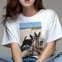 ボストンテリア Tシャツ レディース 犬ファン 半袖 春夏 犬柄 プリント カジュアル かわいい 人間用 個性派 ここだけのデザイン 面白 ビーチ ボストンテリ...