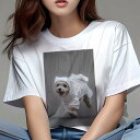 マルチーズ,ヨークシャーテリア Tシャツ レディース 犬ファン 半袖 春夏 犬柄 プリント カジュアル かわいい 人間用 個性派 ここだけのデザイン 面白 雨 ...