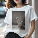 マルチーズ Tシャツ レディース 犬ファン 半袖 春夏 犬柄 プリント カジュアル かわいい 人間用 個性派 ここだけのデザイン 面白 レインコート マルチーズ