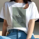 マルチーズ Tシャツ レディース 犬ファン 半袖 春夏 犬柄 プリント カジュアル かわいい 人間用 個性派 ここだけのデザイン 面白 レインコート マルチーズ...