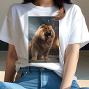 チャウチャウ Tシャツ レディース 犬ファン 半袖 春夏 犬柄 プリント カジュアル かわいい 人間用 個性派 ここだけのデザイン 面白 花火 チャウチャウ 空