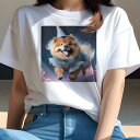 チャウチャウ Tシャツ レディース 犬ファン 半袖 春夏 犬柄 プリント カジュアル かわいい 人間用 個性派 ここだけのデザイン 面白 星空 チャウチャウ 雲 帽子 キラキラ