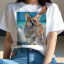 コーギー Tシャツ レディース 犬ファン 半袖 春夏 犬柄 プリント カジュアル かわいい 人間用 個性派 ここだけのデザイン 面白 ビーチ コーギー 海 夏 休暇