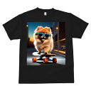 ポメラニアン Tシャツ メンズ キッズ 犬ファン 半袖 春夏 犬柄 プリント カジュアル かわいい 人間用 個性派 ここだけのデザイン 面白 スケートボード ポメラニアン サングラス