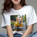 コーギー Tシャツ レディース 犬ファン 半袖 春夏 犬柄 プリント カジュアル かわいい 人間用 個性派 ここだけのデザイン 面白 雨 コーギー レインコート...