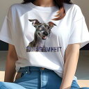 イタリアングレーハウンド Tシャツ レディース 犬ファン 半袖 春夏 犬柄 プリント カジュアル かわいい 人間用 個性派 ここだけのデザイン 面白 イタリアン...