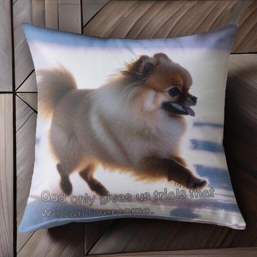 ポメラニアン クッションカバー 45×45cm アニマル柄 おしゃれ 可愛い クッション本体付き 正方形 犬フ..