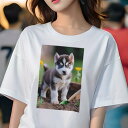 シベリアンハスキー Tシャツ レディース 犬ファン 半袖 春夏 犬柄 プリント カジュアル かわいい 人間用 個性派 ここだけのデザイン 面白 花 シベリアンハ...